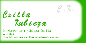 csilla kubicza business card